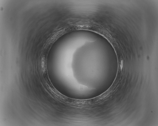 X0000086221396200703291159