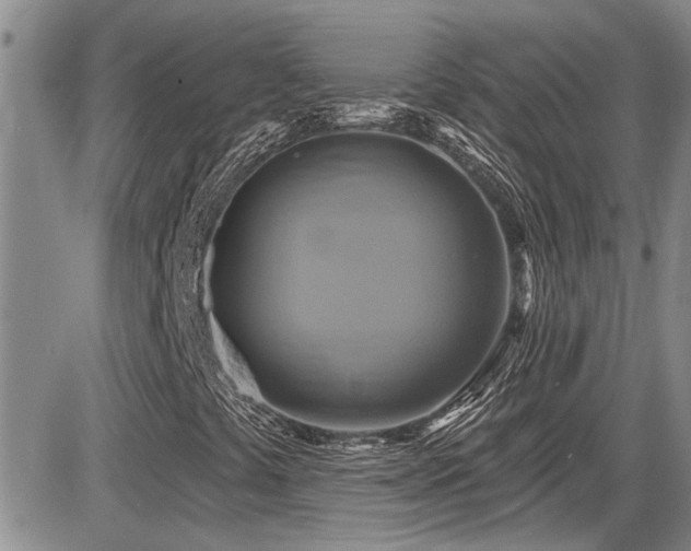 X0000086221441200703291159