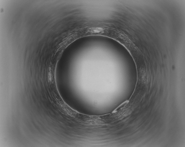 X0000086221442200703291159