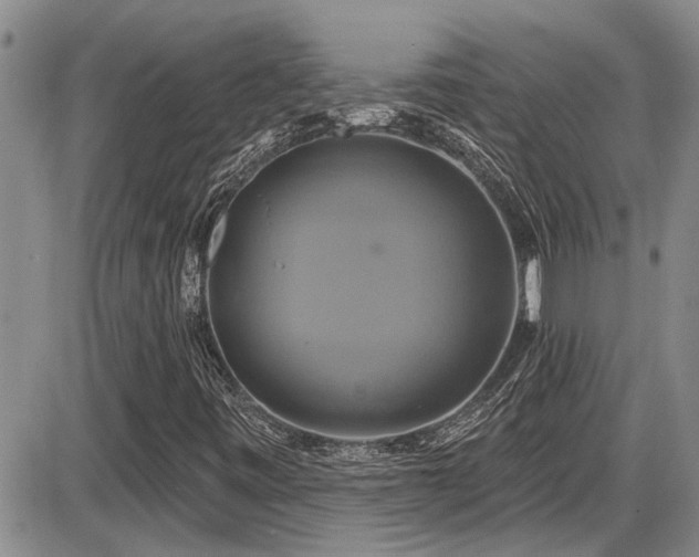 X0000086221443200703291159