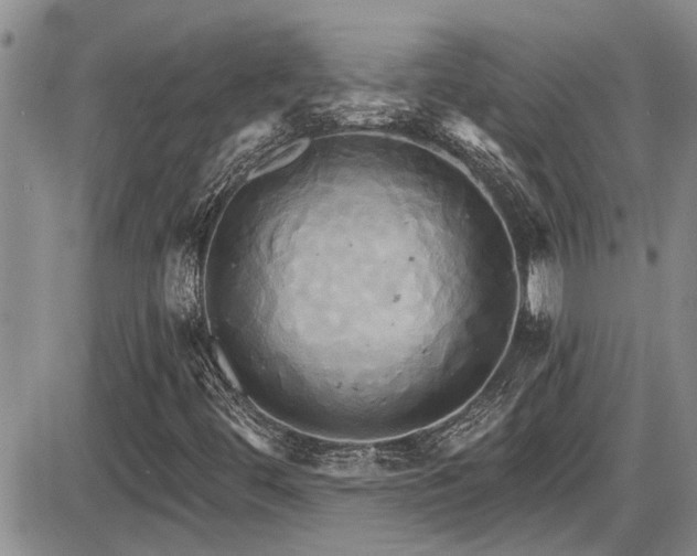 X0000086221444200703291159