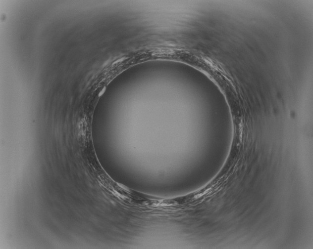 X0000086221445200703291159