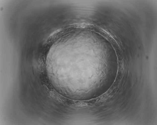 X0000086221446200703291159