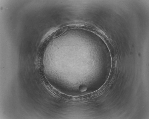 X0000086221448200703291159