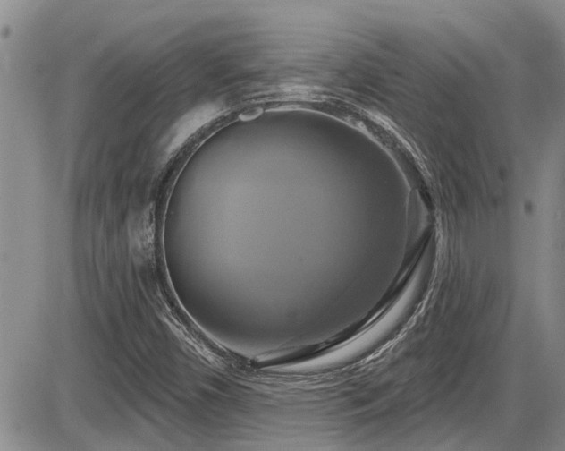 X0000086221450200703291159