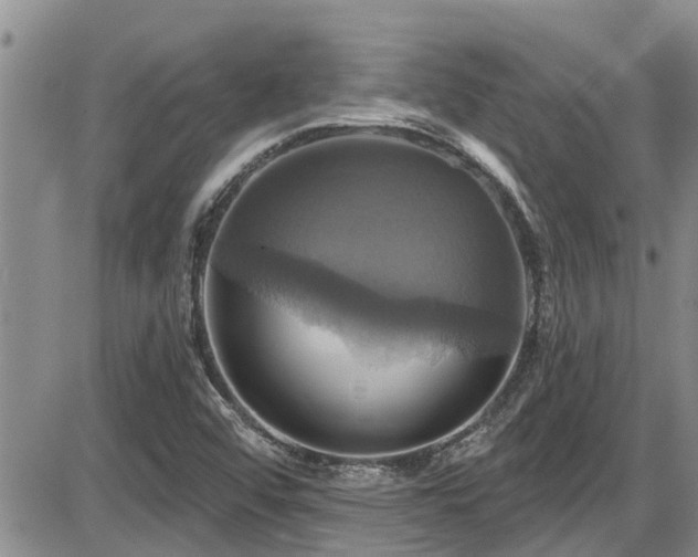 X0000086221456200703291159