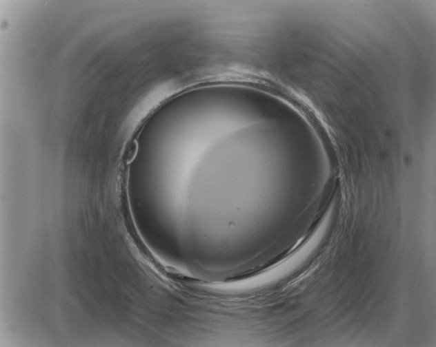 X0000086221463200703291159