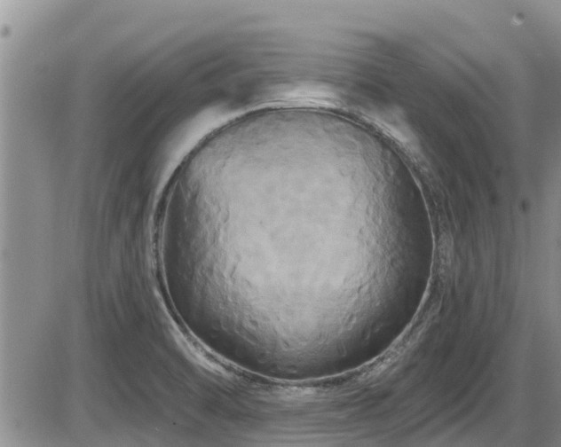 X0000086221470200703291159