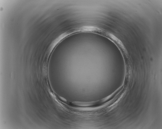 X0000086221473200703291159