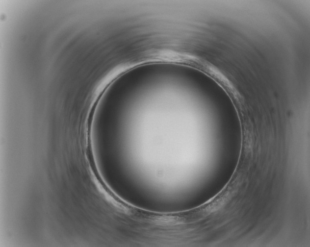 X0000086221479200703291158