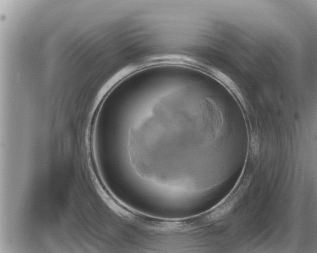 X0000086221482200703291158