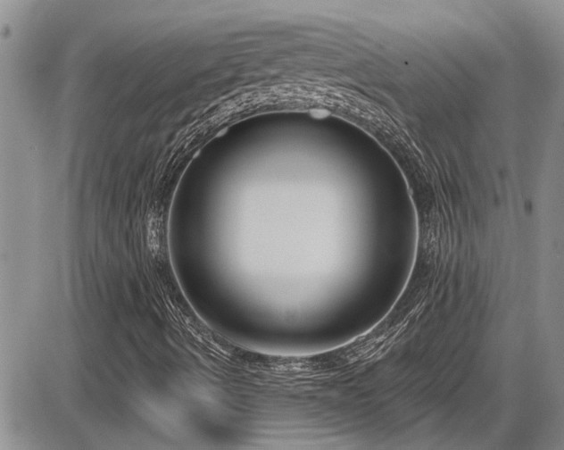 X0000086221490200703291158