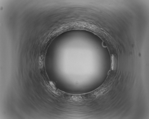 X0000086221491200703291158