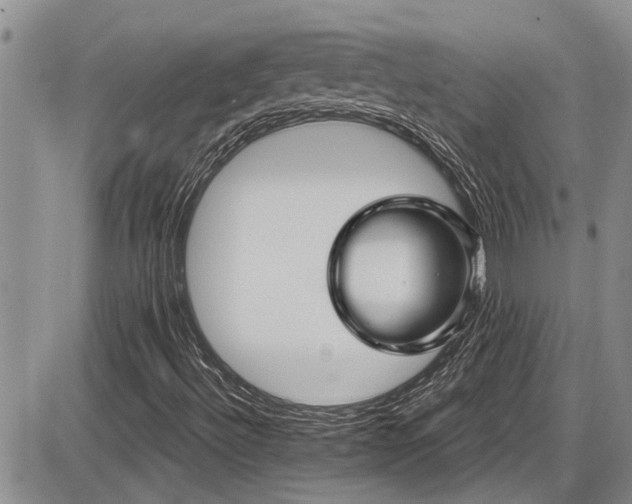 X0000086221492200703291158