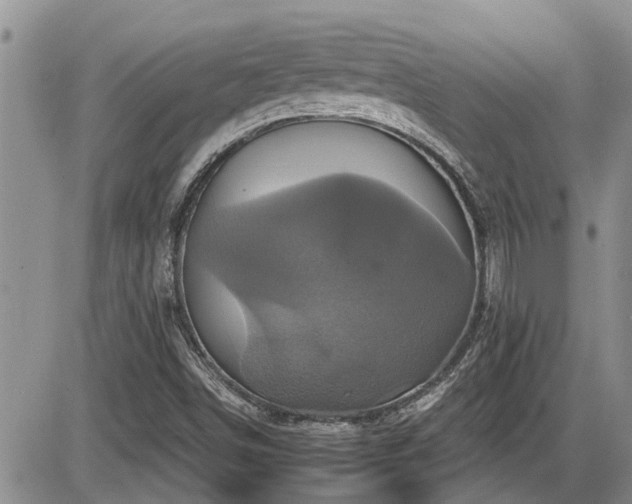 X0000086221498200703291158
