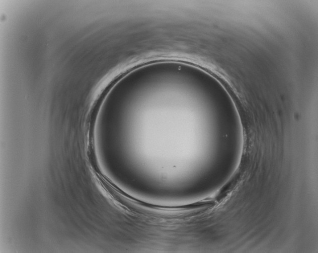 X0000086221511200703291158