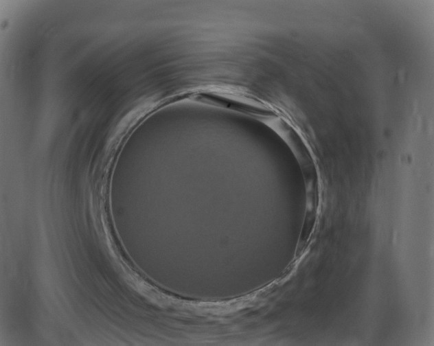 X0000086220001200704051252