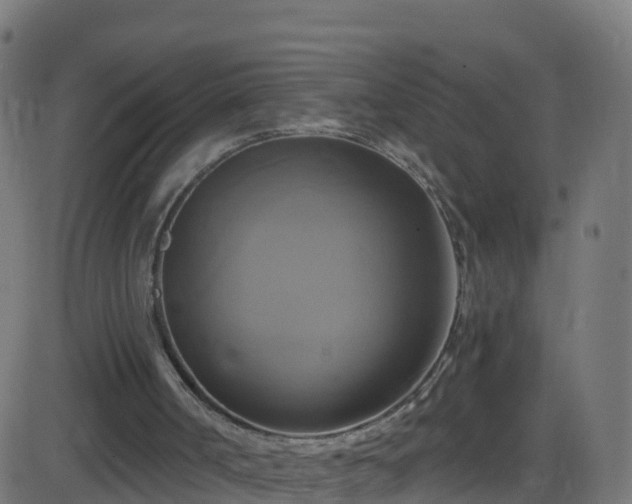 X0000086220002200704051252