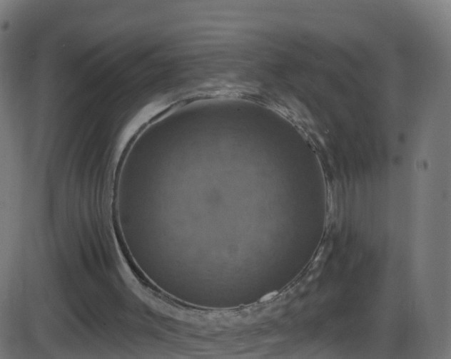 X0000086220003200704051252