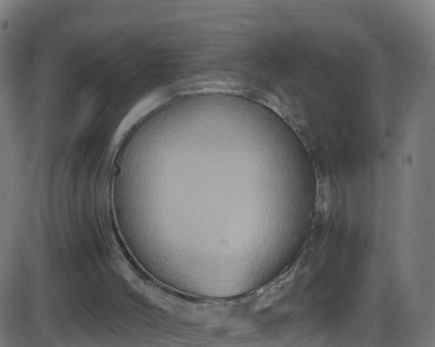 X0000086220004200704051252