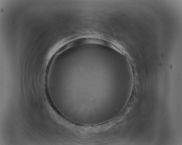 X0000086220007200704051252