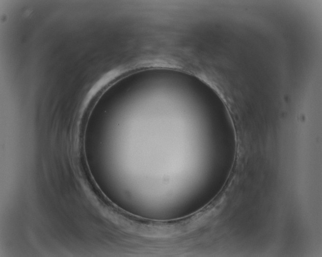 X0000086220008200704051252