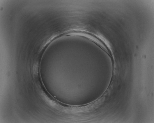 X0000086220009200704051252