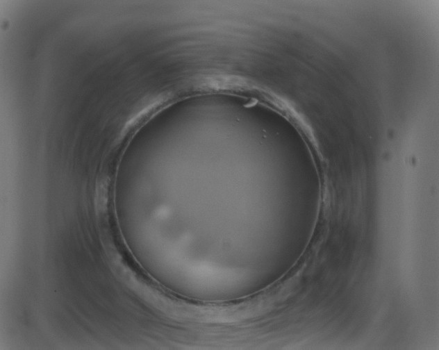 X0000086220010200704051252