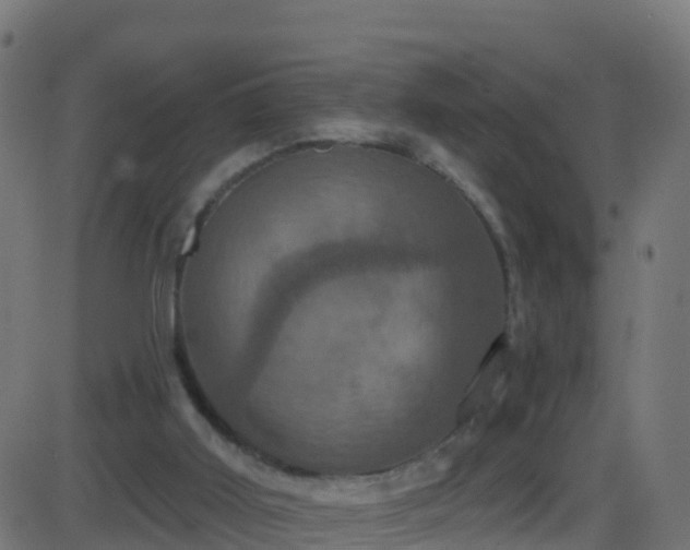 X0000086220011200704051252