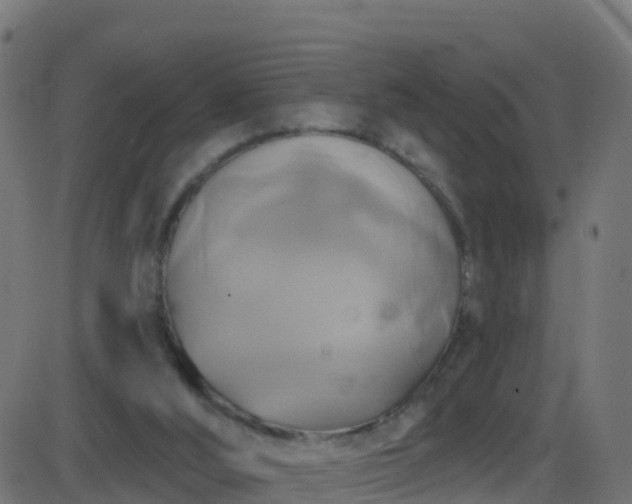 X0000086220012200704051252