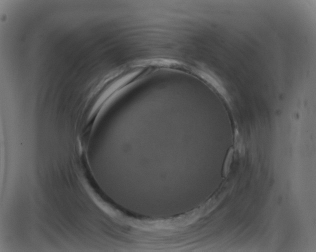 X0000086220013200704051252