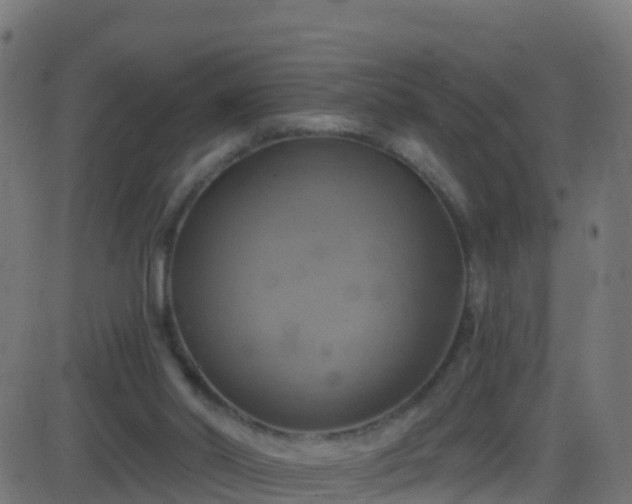 X0000086220014200704051252