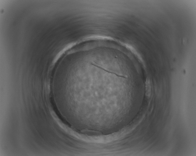 X0000086220015200704051252