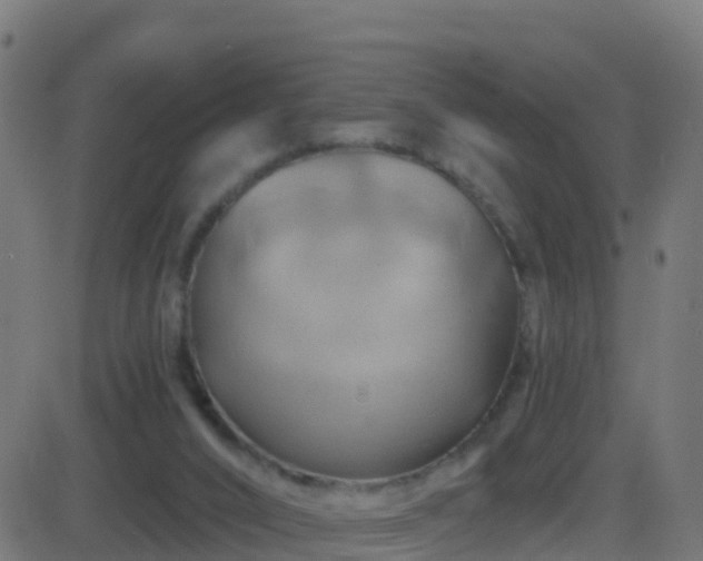 X0000086220016200704051252