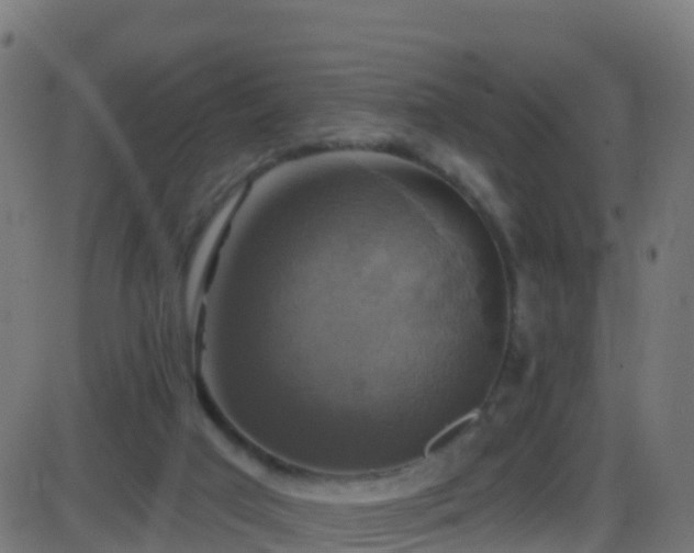 X0000086220017200704051252