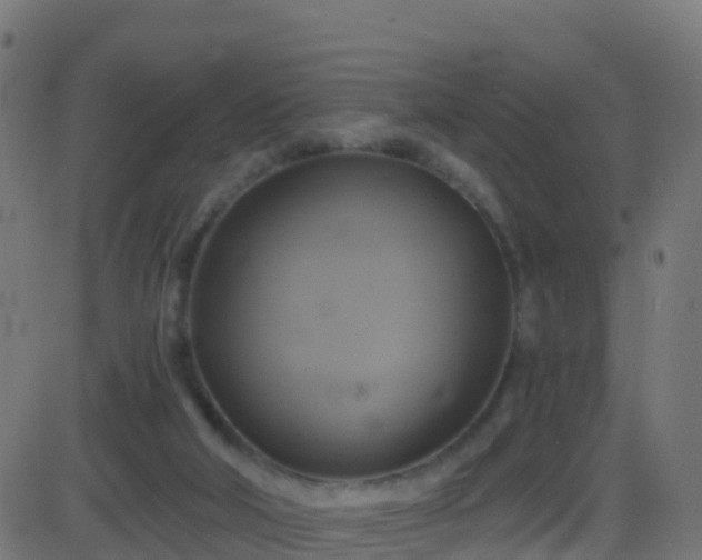 X0000086220018200704051252