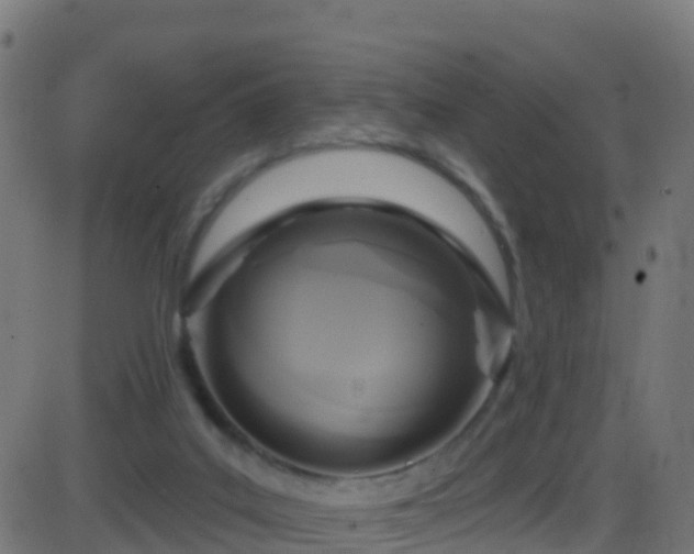 X0000086220019200704051252