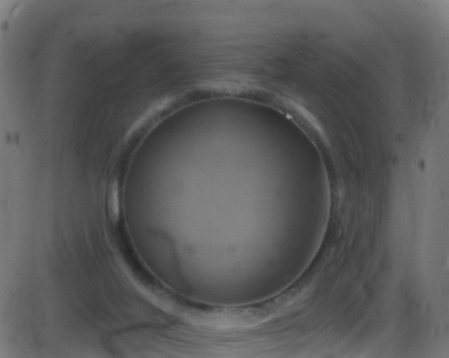 X0000086220020200704051252