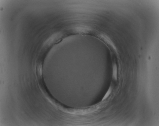 X0000086220021200704051252