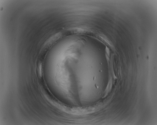 X0000086220022200704051252