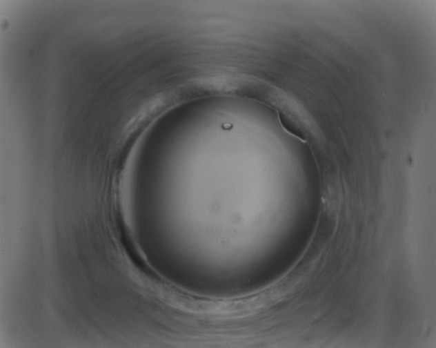 X0000086220023200704051252