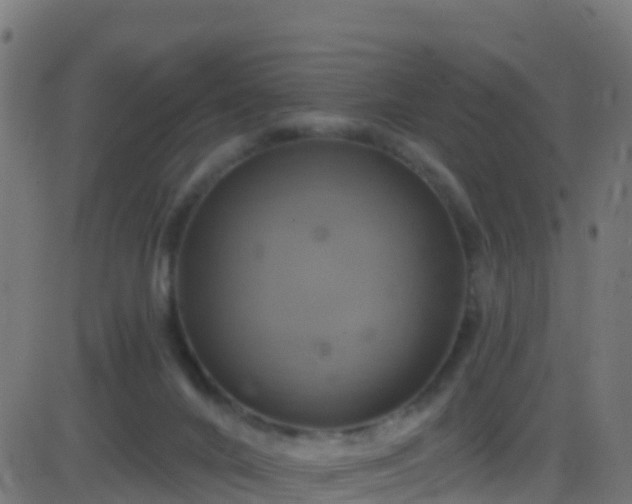 X0000086220024200704051252