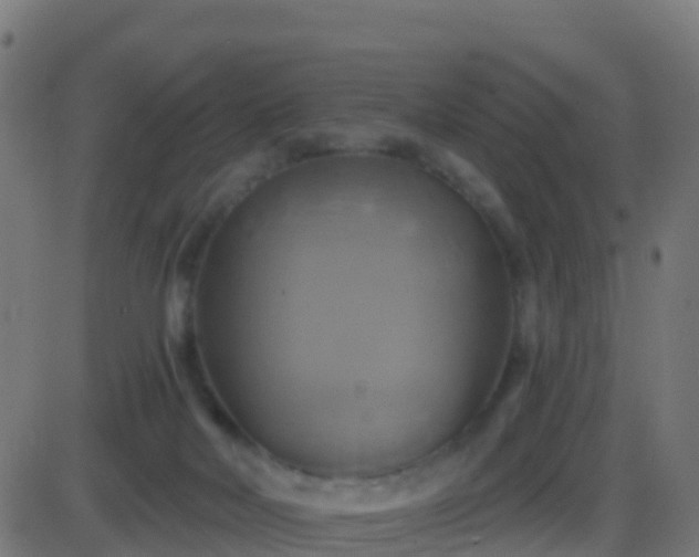 X0000086220026200704051252