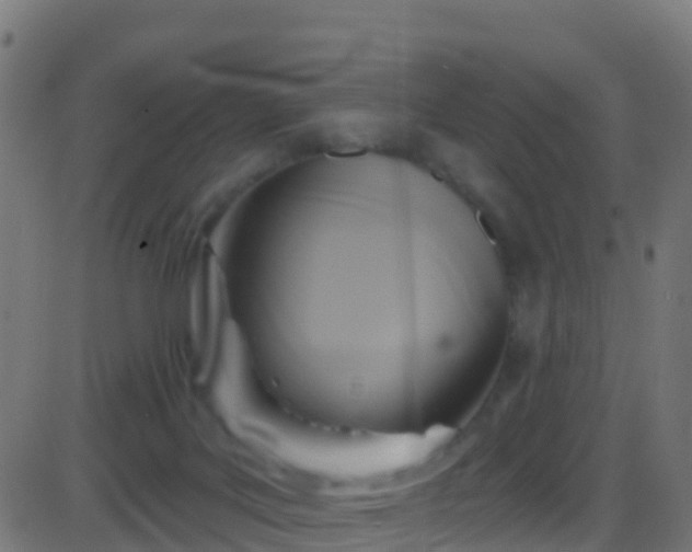 X0000086220027200704051252