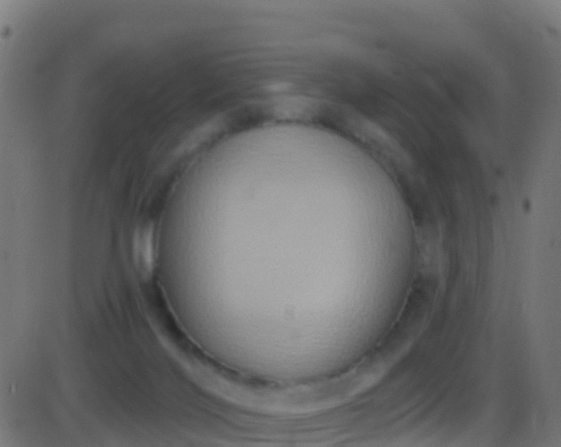 X0000086220028200704051252