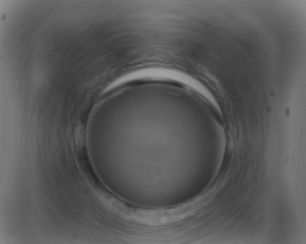 X0000086220029200704051252