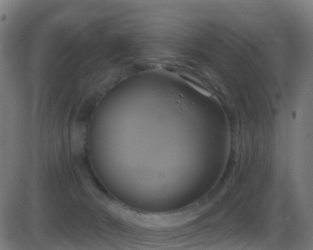 X0000086220030200704051252