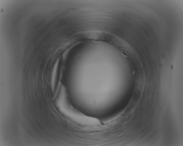 X0000086220031200704051252