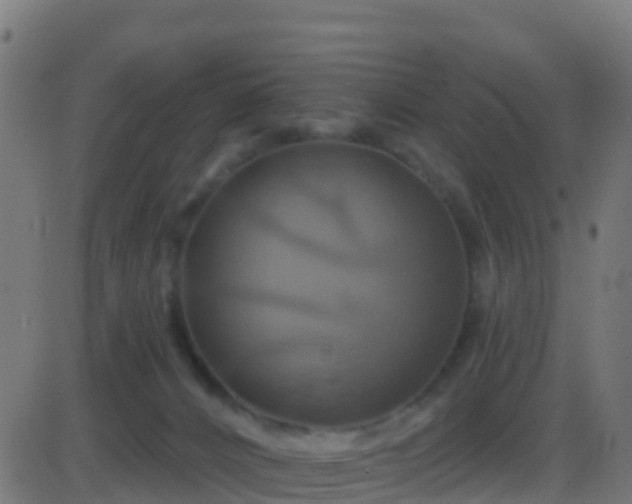 X0000086220032200704051252