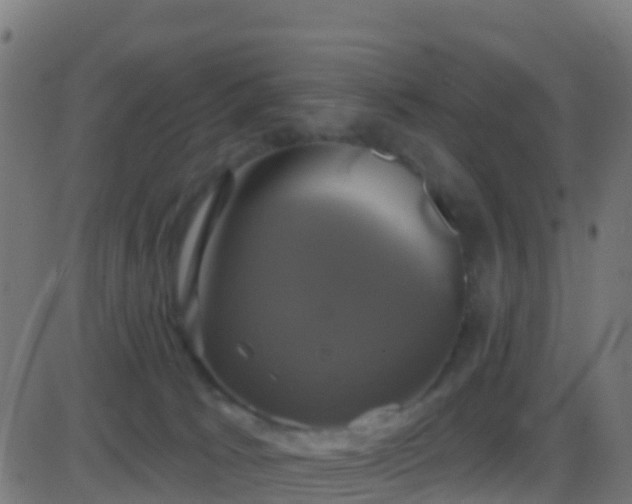 X0000086220033200704051252